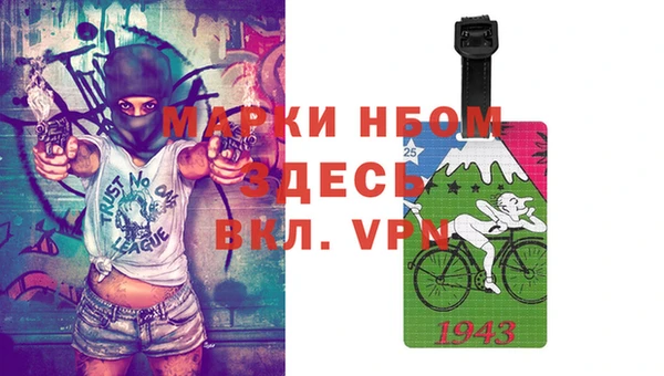 apvp Алзамай