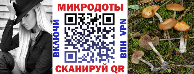 Псилоцибиновые грибы MAGIC MUSHROOMS  Тимашёвск 