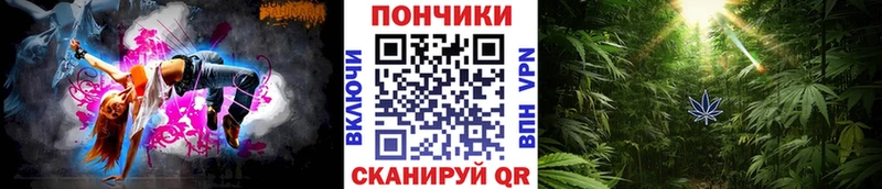 наркота Тимашёвск Шишки марихуана семена